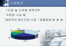 [마케팅 관리] 속에 천불 청송 얼음 막걸리 3페이지