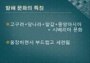 발해의 문화와 문자 5페이지