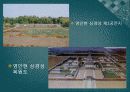 발해의 문화와 문자 17페이지