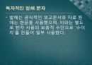 발해의 문화와 문자 23페이지