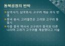 발해의 문화와 문자 33페이지