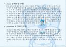 모닝글로리의 국제마케팅 8페이지