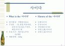롯데칠성 사이다 4페이지