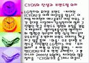 LG 싸이언 3페이지