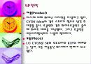 LG 싸이언 7페이지