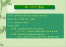 녹차(Green Tea) 4페이지