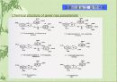 녹차(Green Tea) 17페이지