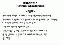 아벨라르두스 2페이지