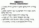 아벨라르두스 3페이지