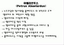 아벨라르두스 4페이지