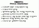 아벨라르두스 6페이지