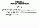아벨라르두스 8페이지