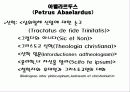 아벨라르두스 9페이지