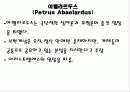 아벨라르두스 11페이지