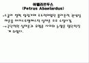 아벨라르두스 12페이지