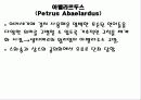 아벨라르두스 13페이지