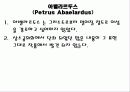 아벨라르두스 14페이지