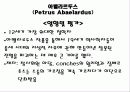 아벨라르두스 15페이지