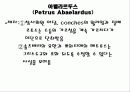 아벨라르두스 16페이지