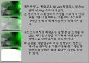 무용전공별신체조성및유산소성능력에관한연구 10페이지
