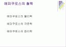 에피쿠로스 4페이지