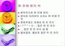 원고지 사용법 5페이지