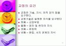 원고지 사용법 13페이지