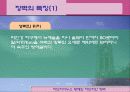 하드리아누스장벽 15페이지