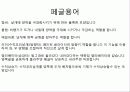 Paper glider의 모든 것! 3페이지