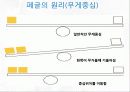 Paper glider의 모든 것! 4페이지