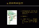 도시사회학 꾸리찌바 2페이지