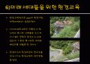 도시사회학 꾸리찌바 11페이지