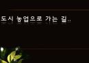 도시 농업으로 가는 길,, 1페이지