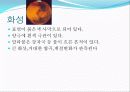 태양계의 행성들 5페이지
