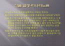 베르나르 베르베르에 대하여 7페이지