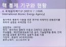 핵보유국과 핵통제기구 현항 7페이지