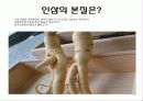 인삼의 주요 성분 2페이지