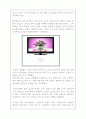 디스플레이의 역사 10페이지