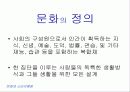 문화의 정의와 특성 2페이지