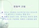 문화의 구성요소와 소비자 행동 7페이지