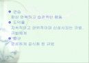 문화의 구성요소와 소비자 행동 8페이지