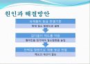 중국의 멜라민 분유 파동 10페이지