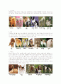 [애견미용] 개의 목적에 따른 구분 & 기초 견제학 2페이지