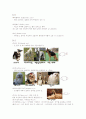 [애견미용] 개의 목적에 따른 구분 & 기초 견제학 7페이지