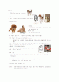 [애견미용] 개의 목적에 따른 구분 & 기초 견제학 16페이지