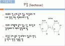 생체유기화학(유당불내증, 광우병, 당중독증)1 4페이지