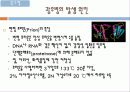 생체유기화학(유당불내증, 광우병, 당중독증)1 19페이지
