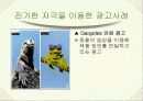 소비자 행동분석 사례조사 2페이지