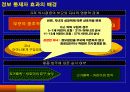 정보 통제자 효과(the gatekeeper effect)와 이를 활용한 광고전략 3페이지