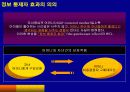 정보 통제자 효과(the gatekeeper effect)와 이를 활용한 광고전략 5페이지